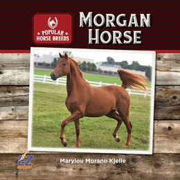 Morgan Horse, ed. , v. 