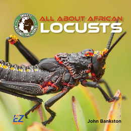 All About African Locusts, ed. , v. 