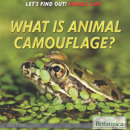 What Is Animal Camouflage?, ed. , v. 