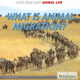 What Is Animal Migration?, ed. , v. 
