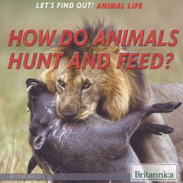 How Do Animals Hunt and Feed?, ed. , v. 