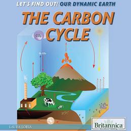 The Carbon Cycle, ed. , v. 
