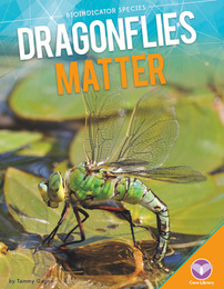Dragonflies Matter, ed. , v. 