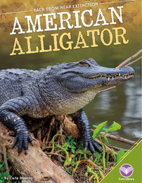 American Alligator, ed. , v. 