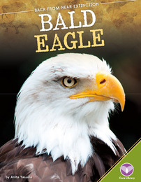 Bald Eagle, ed. , v. 