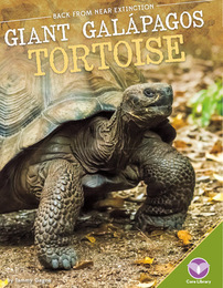 Giant Galápagos Tortoise, ed. , v. 