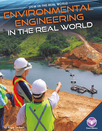 Environmental Engineering in the Real World, ed. , v. 