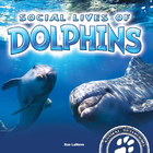 Social Lives of Dolphins, ed. , v. 
