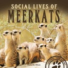 Social Lives of Meerkats, ed. , v. 