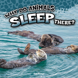 Why Do Animals Sleep There?, ed. , v. 