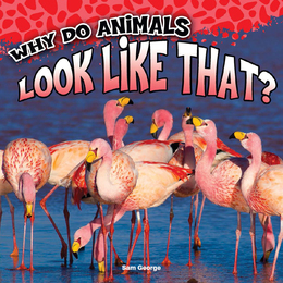 Why Do Animals Look Like That?, ed. , v. 