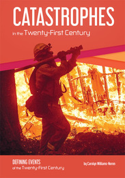Catastrophes in the Twenty-First Century, ed. , v. 