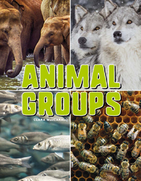 Animal Groups, ed. , v. 