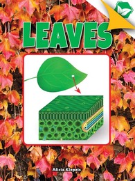 Leaves, ed. , v. 