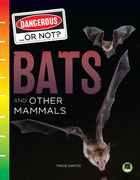 Bats and Other Mammals, ed. , v. 