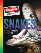 Snakes and Other Reptiles, ed. , v. 