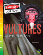 Vultures and Other Birds, ed. , v. 
