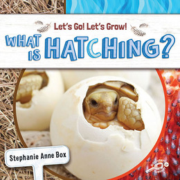 What Is Hatching?, ed. , v. 