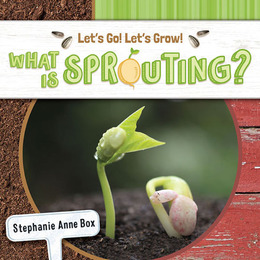 What Is Sprouting?, ed. , v. 