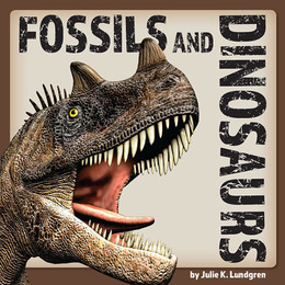 Fossils and Dinosaurs, ed. , v. 