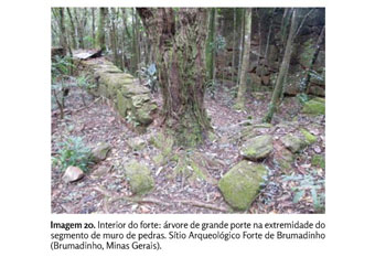 Mineração, degradação ambiental e arqueologia: Minas Gerais
