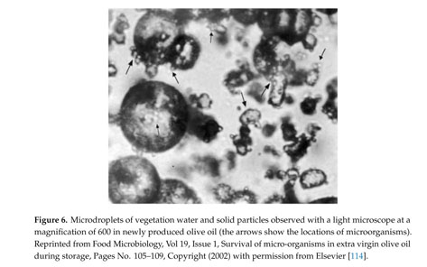 Different mechanisms of emulsion destabilization, depending on the