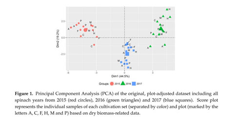 Gale Academic Onefile Document Alterations In The Chemical Composition Of Spinach Spinacia Oleracea L As Provoked By Season And Moderately Limited Water Supply In Open Field Cultivation