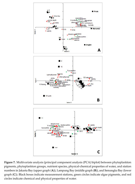 Coastal Phytoplankton Pigments Composition In Three Tropical Estuaries Of Indonesia Document Gale Academic Onefile