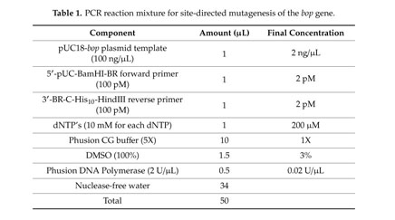 Engineering and Production of the Light-Driven Proton Pump