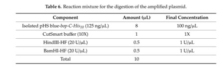 Engineering and Production of the Light-Driven Proton Pump