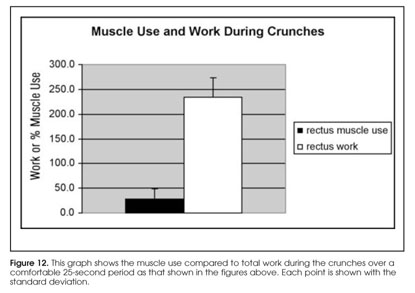 Muscle use during isometric co-contraction of agonist-antagonist