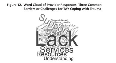 Understanding TAY Mental Health and De-Escalation Strategies