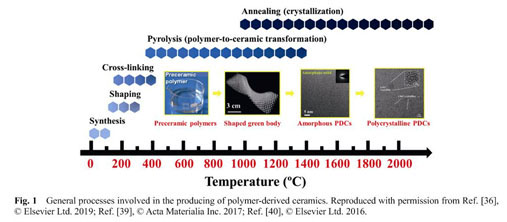 Si-based polymer-derived ceramics for energy conversion and 