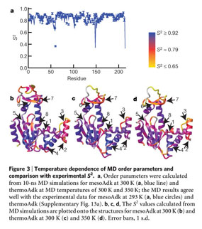 A hierarchy of timescales in protein dynamics is linked to enzyme catalysis