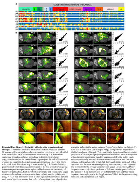 Age of Laboratory Hamster and Human: Drawing the Connexion - Document -  Gale Academic OneFile