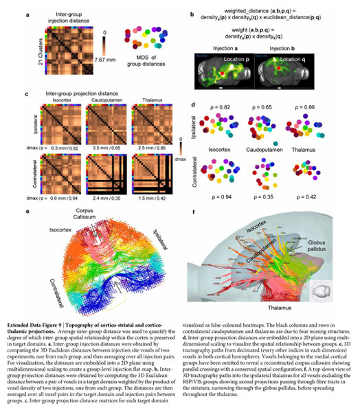 Age of Laboratory Hamster and Human: Drawing the Connexion - Document -  Gale Academic OneFile