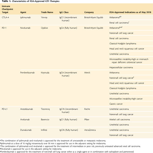 Endocrine Toxicity of Cancer Immunotherapy Targeting Immune 