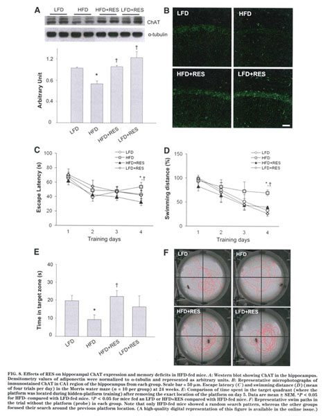 Gale Academic Onefile Document Resveratrol Attenuates Obesity Associated Peripheral And Central Inflammation And Improves Memory Deficit In Mice Fed A High Fat Diet