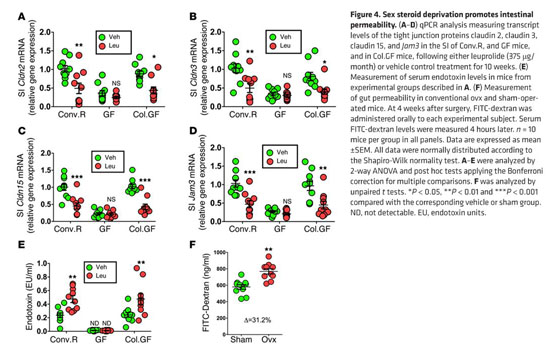 Sex Steroid Deficiency Associated Bone Loss Is Microbiota Dependent And