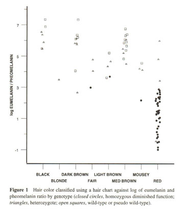 The six point coat pheomelanin intensity scale. A. Photos of six