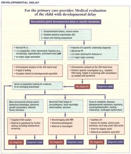 Approach to developmental_delay