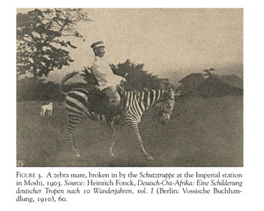 Bio-Engineering across Empires: Mapping the Global Microhistory of Zebra  Domestication in Colonial East Africa - Document - Gale Academic OneFile