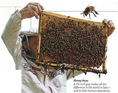 Hive hero: Lorenzo Langstroth made life sweet for bees and keepers -  Document - Gale Academic OneFile
