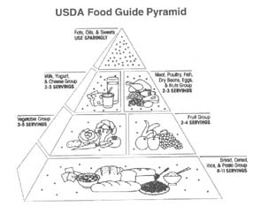 latin american food pyramid