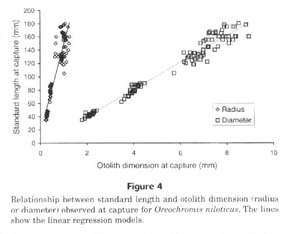 Validation of age estimation and back-calculation of fish length