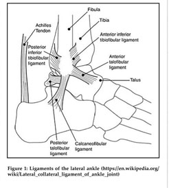 The Treatment of Acute Ankle Sprain with Acupuncture - Document