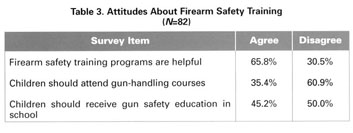 Parents' beliefs about children and gun safety Patricia Kunz