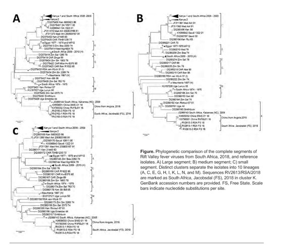 Gale Academic Onefile Document Genomic Characterization Of Rift Valley Fever Virus South Africa 18