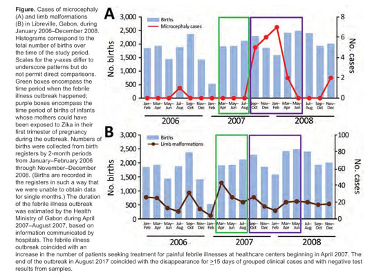 Gale Onefile Health And Medicine Document Potential Association Between Zika Infection And Microcephaly During 07 Fever Outbreak Gabon