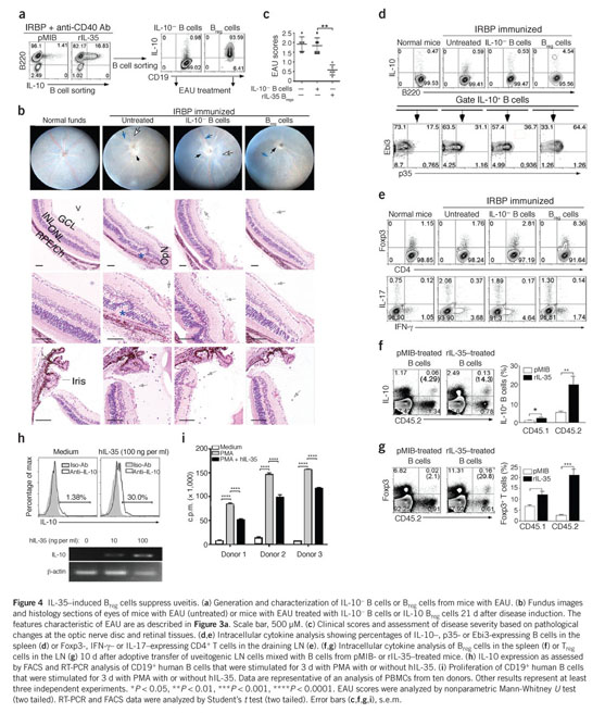 VIRUS, EAU29